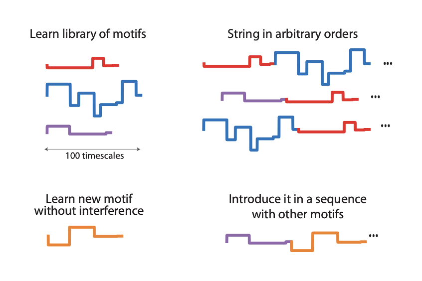 Thalamocortical motor circuit insights for more robust hierarchical control of complex sequences