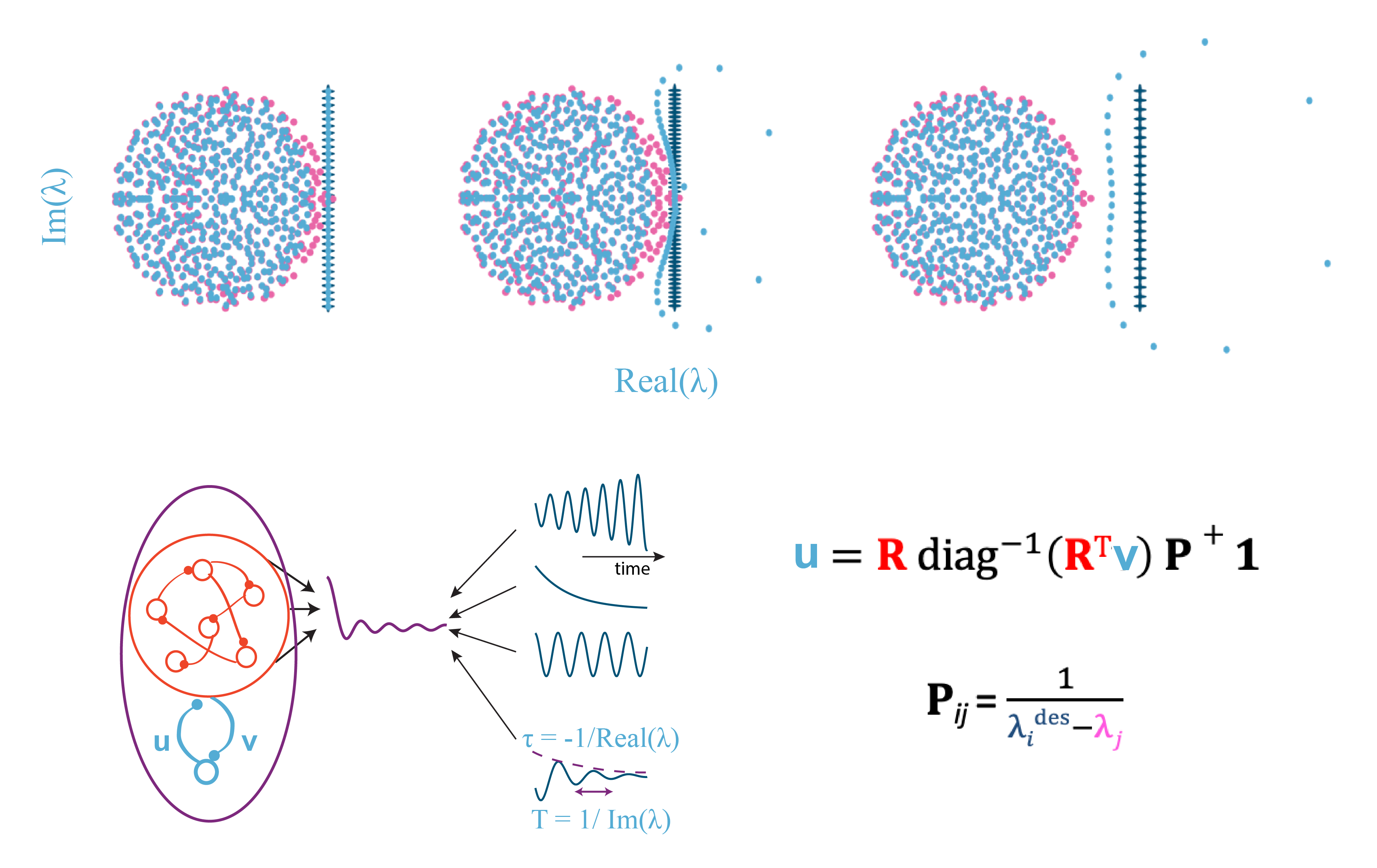 Mathematical computational analysis of the dynamics of structured neural network models