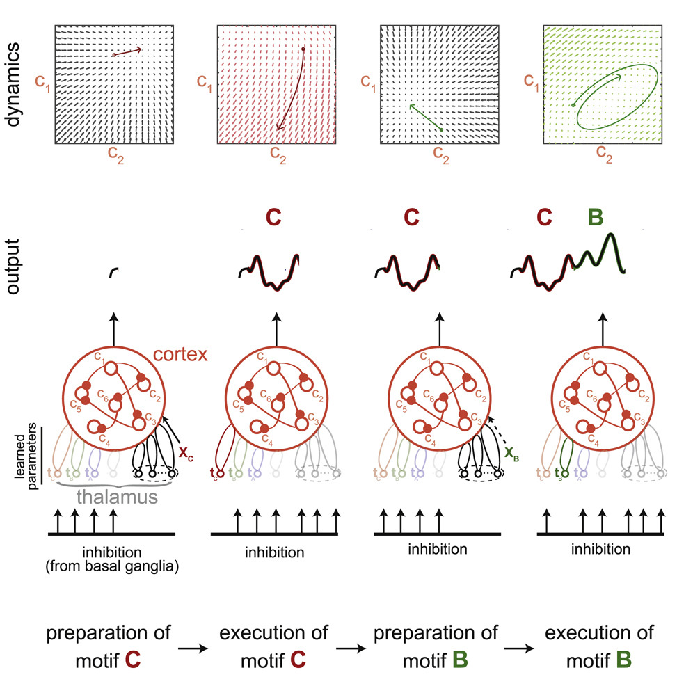 Thalamic control of cortical dynamics in a model of flexible motor sequencing